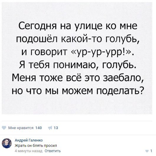 Ужасы и приколы из соцсетей 18+