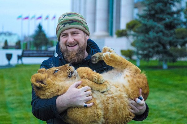 «Вашу дачу сфотографируют с самолета — и заплатите втридорога»