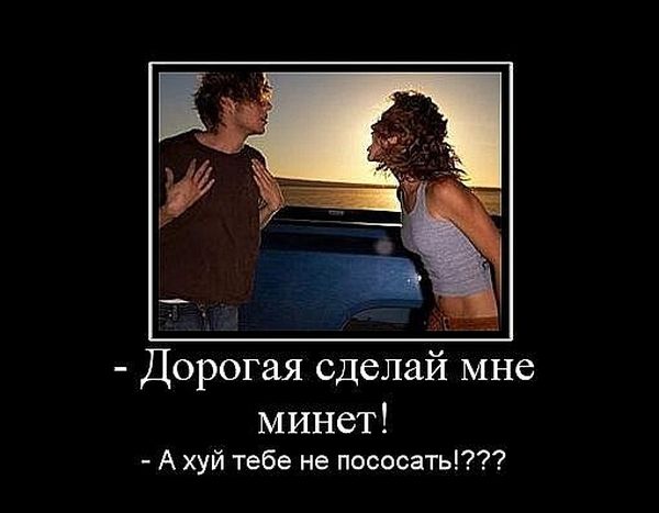 Порция абсурдного юмора на следующую неделю