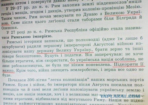 Украинцы принесли к Генконсульству России деревянные чурки