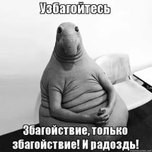 Футбол Чемпионат России 2016-17. Кубок России,РФПЛ,ФНЛ. Часть 9