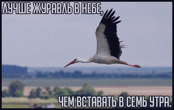 Всякие разные картинки