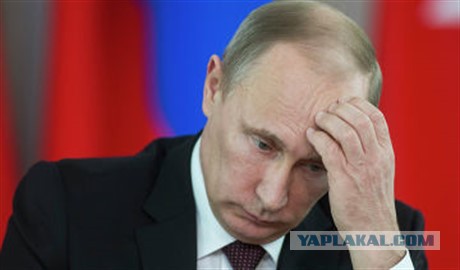 Подмосковный фермер создал свою криптовалюту и собрал $500 тысяч пожертвований