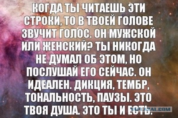 Мизатропируй правильно!