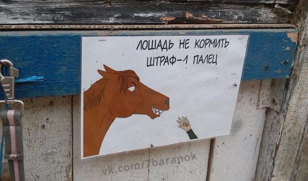 Да вы чё в самом-то деле?