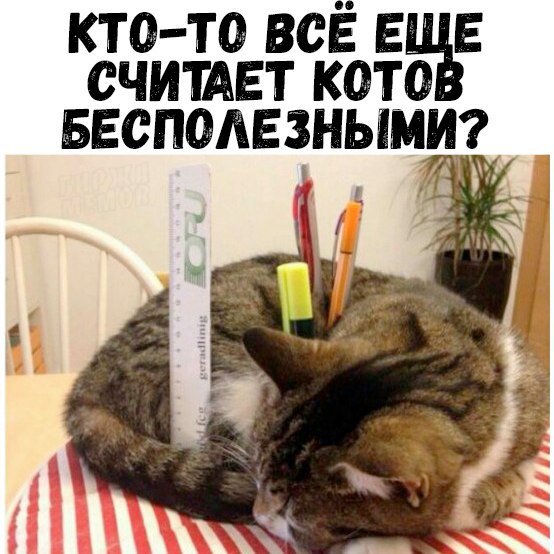 Подборка интересных и веселых картинок