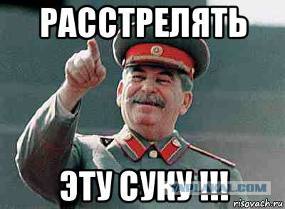 Чечня поддержала законопроект о запрете на памятники Сталину