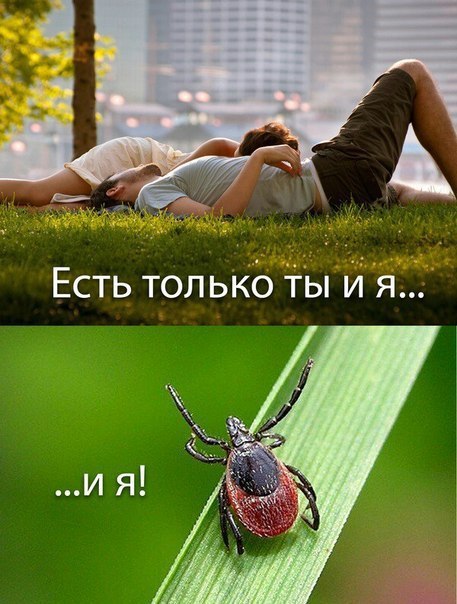 Картинки с надписями на разные темы - 2