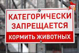 Пляж «Девяносто миль» - непрерывный пляж в Австралии