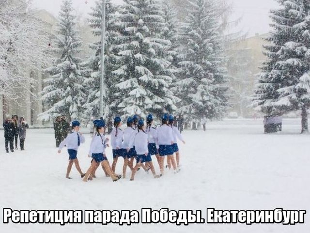 Прикольные картинки обо всем