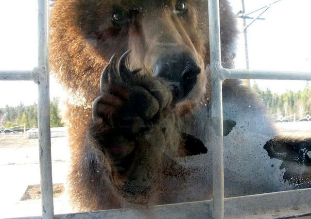 Подборка интересных и веселых картинок