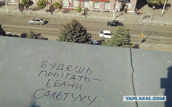 Серьезные отношения. Перевод с женского