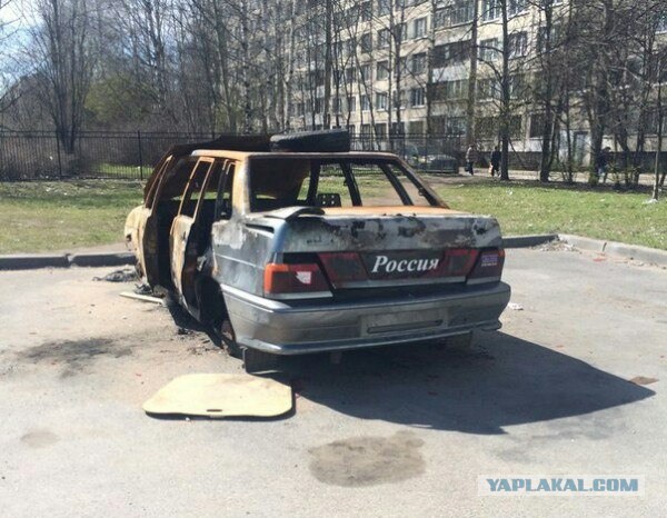 Загнивают