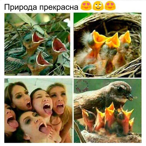 Немного картинок в эту среду