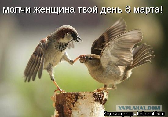 Женщины специально гнобят своих мужей!