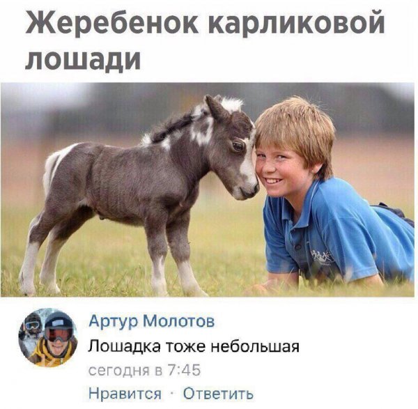 Нестандартный юмор