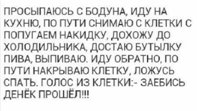 Нестандартный юмор