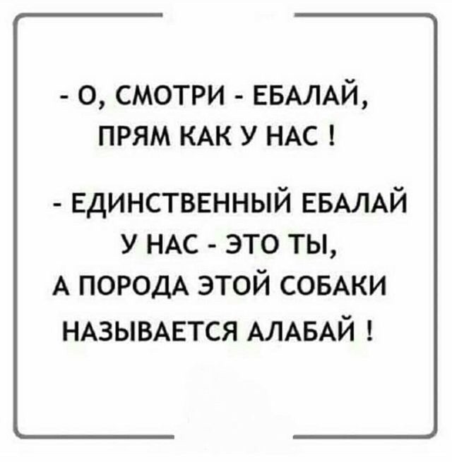 Картинки юморные и тексты 01.11