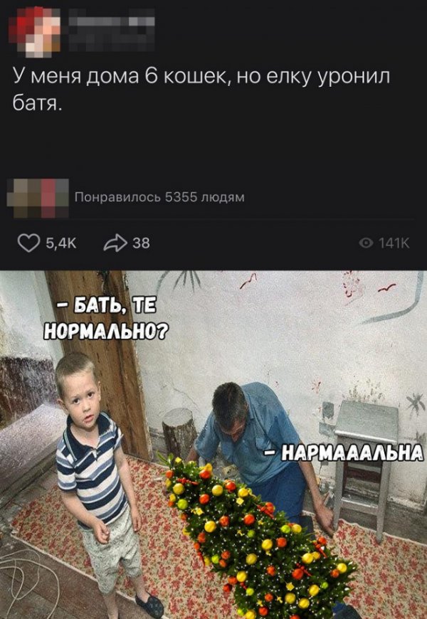 12537732.jpg