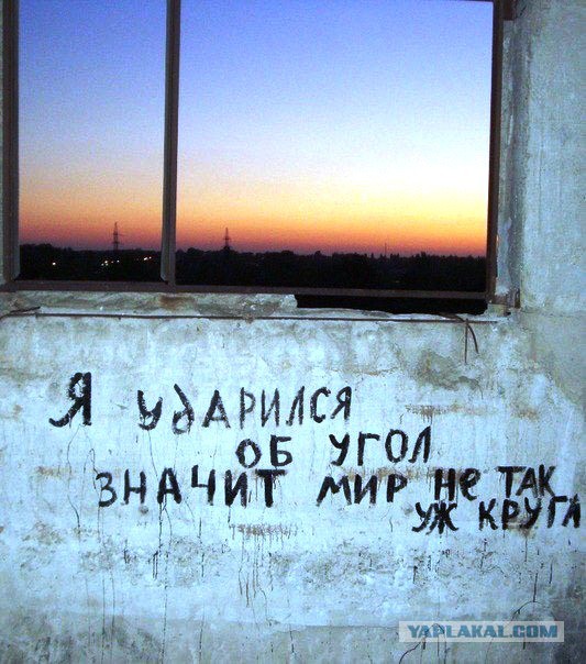«Бродячие» философы: 17 глубокомысленных заметок в транспорте и на улицах