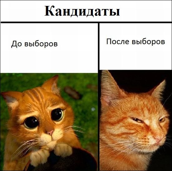 Подборка интересных и веселых картинок 17.02.19