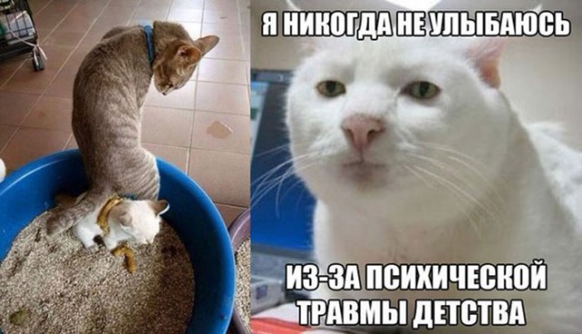 Не время улыбаться!