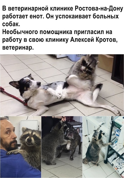 Картинки с надписями, истории и анекдоты 04.10.19