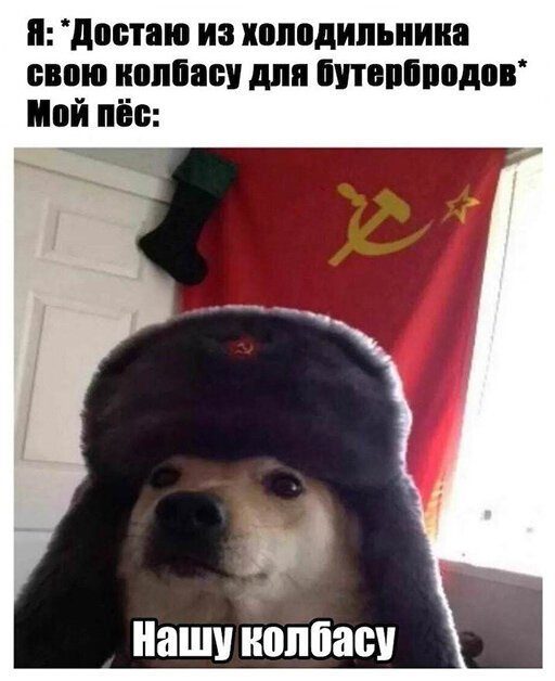 Кретинки