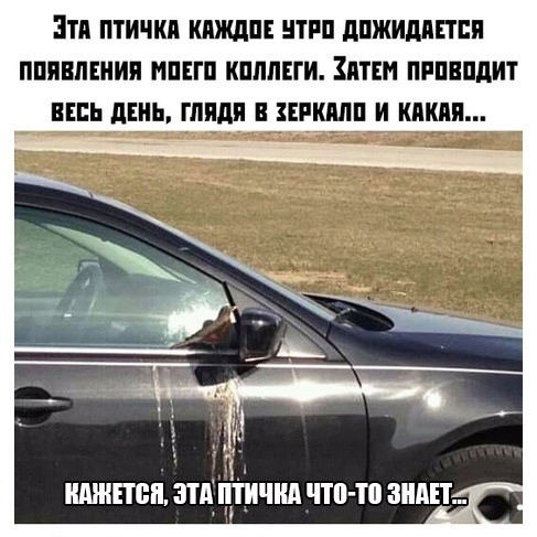 Немного картинок с надписями и без - 41