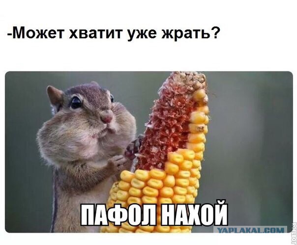 Ура! Мне подключили интенет! (БАЯНЫ)