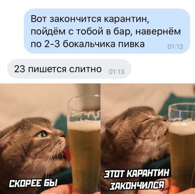 Немного картинок для настроения 29.04.20