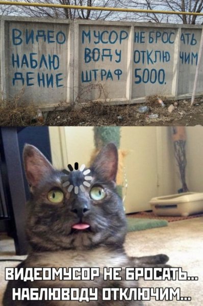 Так себе картинки 07.05.20