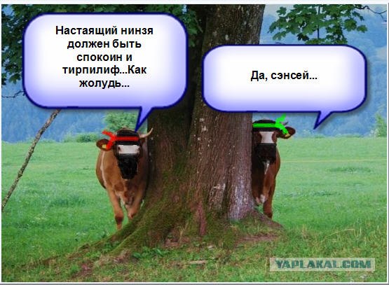 Как ты думаешь, измена скора отпустит?