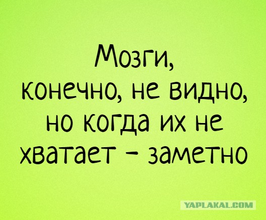 Вот моя деревня, вот мой дом родной..