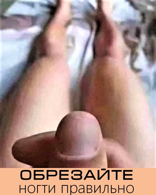 Разные картинки во вторник. С котами