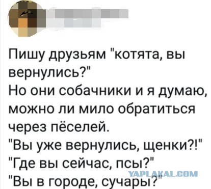 Бредзона 10.11.2020