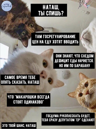 Мемы про Наташу