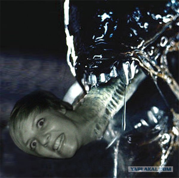 Вытянулась: картинка и 2 жабы