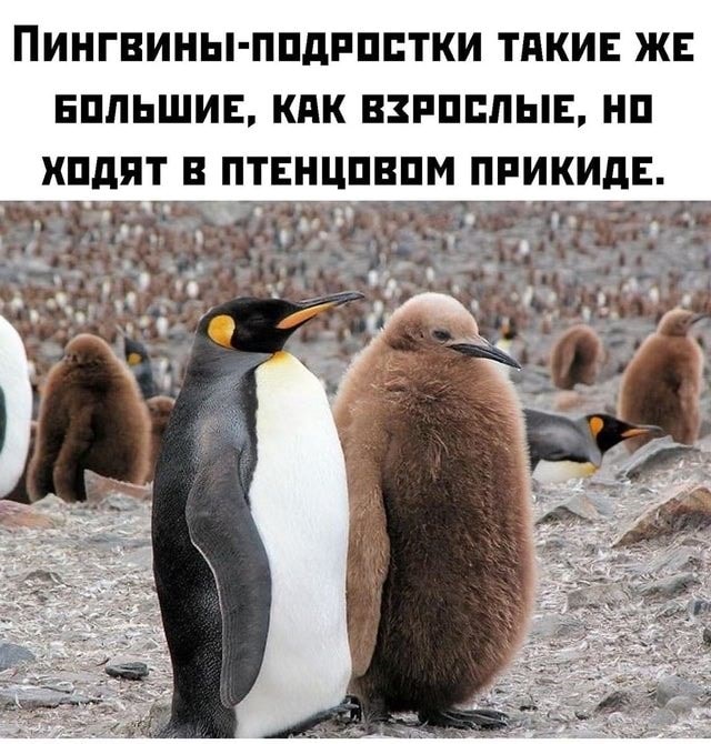 Картинки с надписями и всякие жизненные фразы