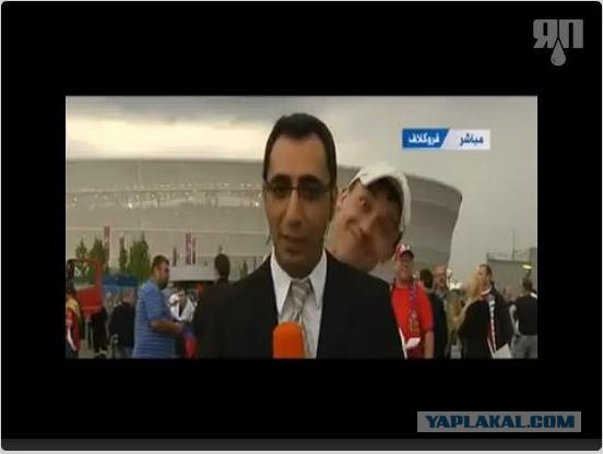 Кот срывает прямой эфир