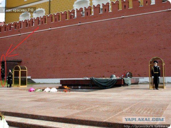 АРМИЯ делает людей добрее!