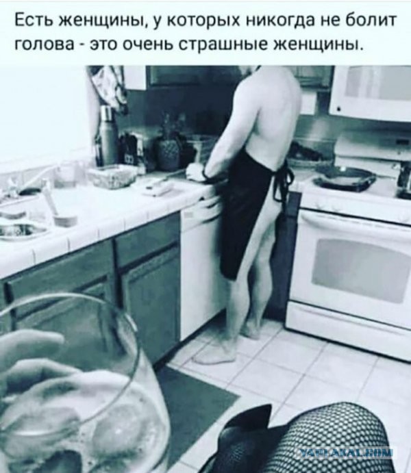 Доза юмора на выходные