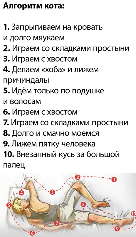Весёлый полтишок 26.07