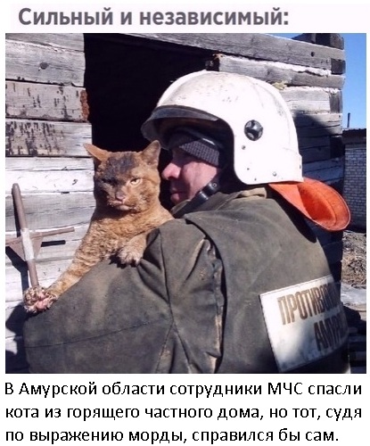 Так себе картинки 11.08.21