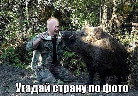Так себе картинки 07.10.21