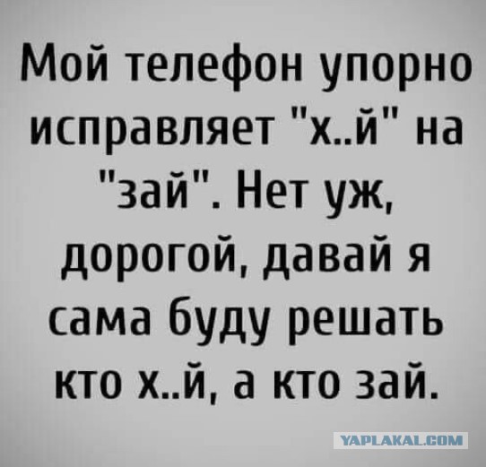 Весёлый полтишок 07.11