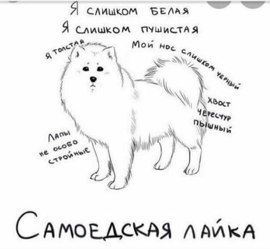 Картинки и мемы для настроения 21.12.21