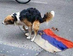 Оф доклад минобороны