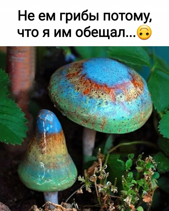 Грибы против Альцгеймера, вирусных гепатитов