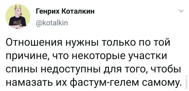 Забавные и веселые картинки